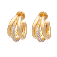 Claw Earrings - Cubic Zirconia