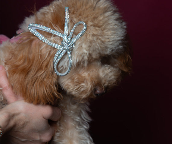 Hair Accessories