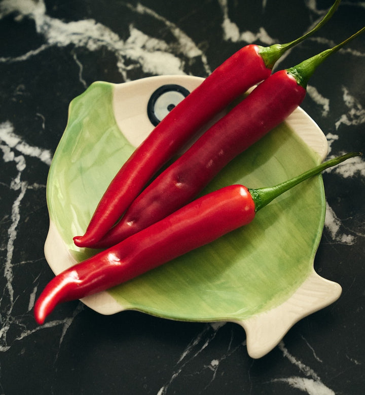 Tidal Fish Plate Green