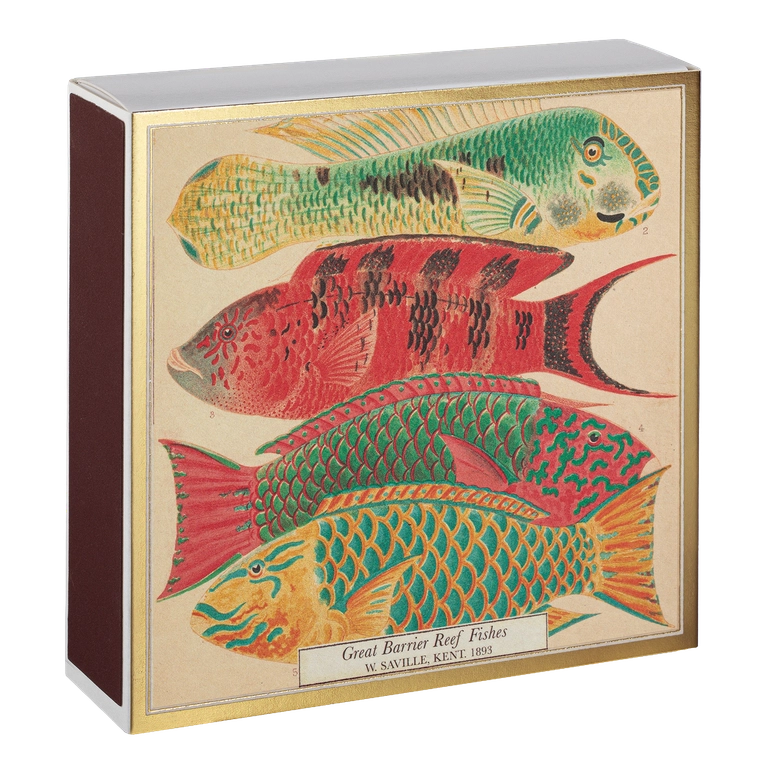 B314 Fish Matches