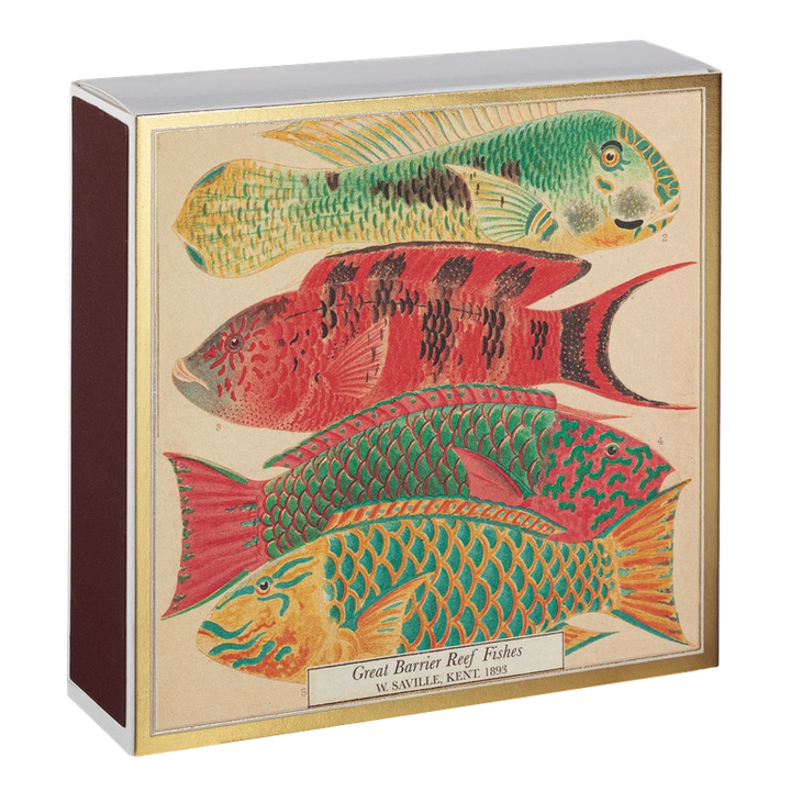 B314 Fish Matches