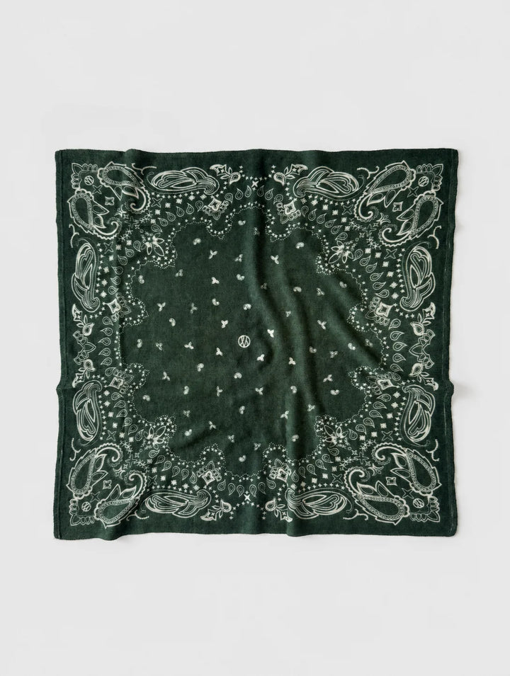 Cashmere Paisley Scarf - Green &amp; Cream