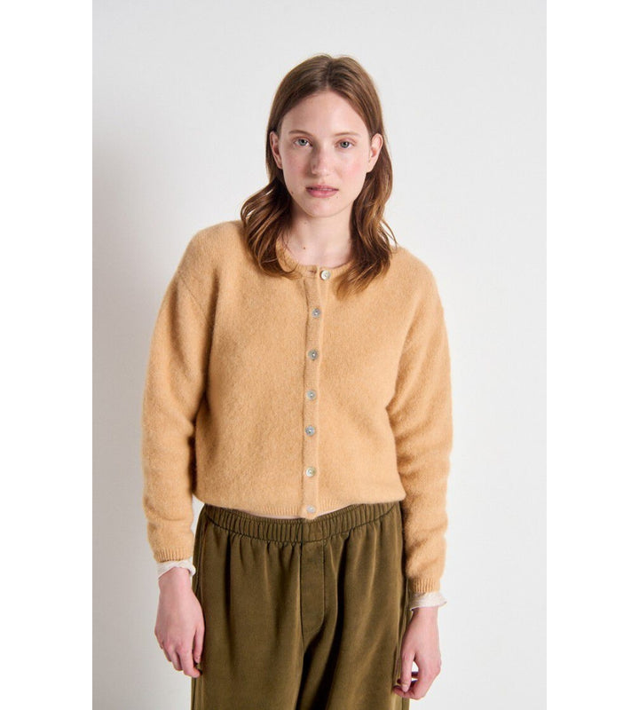 Vitow Cardigan - Noisette/Hazelnut