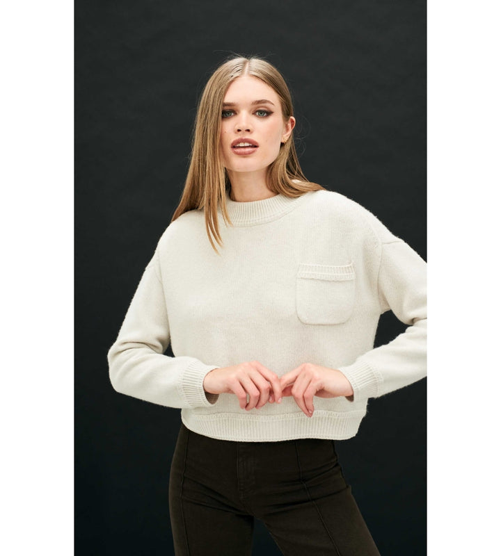 Heavy Pocket Turtle - Limestone