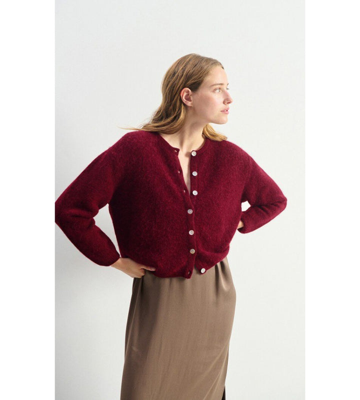 Vitow Cardigan in Cherry Tree