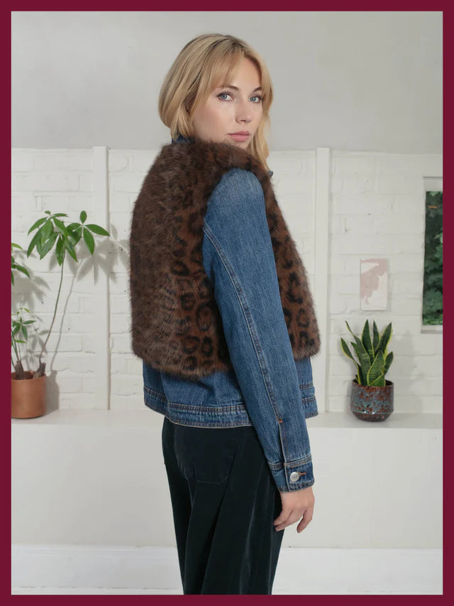 Edelweiss Gilet - Choc Leo