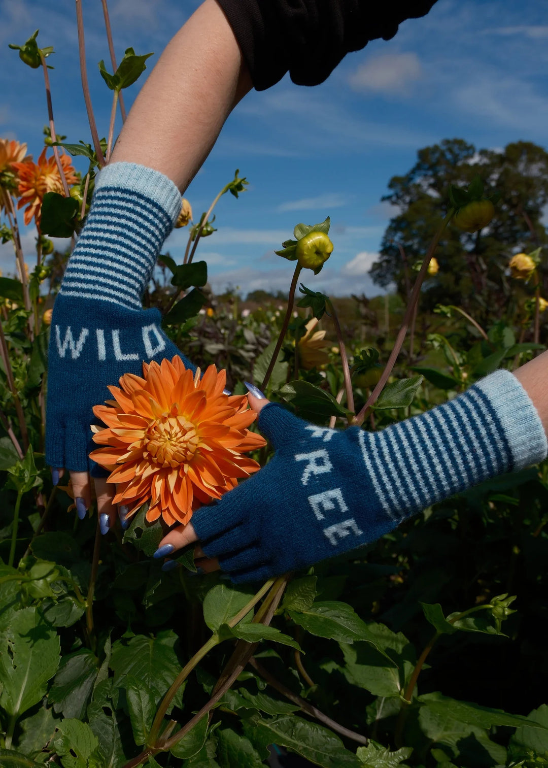 Wild Free Gloves - Teal/Aqua
